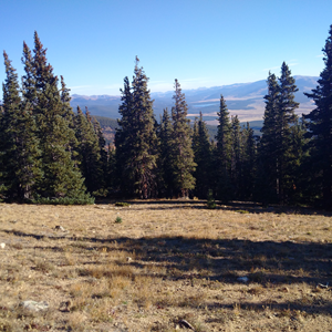 Mt Elbert (11).jpg